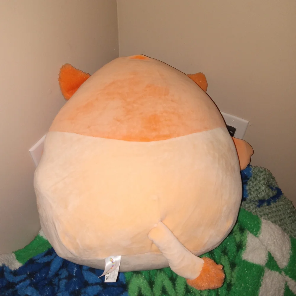 Abdul the Griffon - Picture 4 of 5